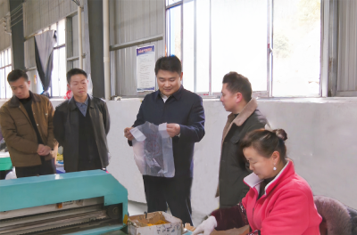 徐望赴路口镇调研产业发展工作