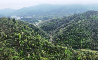 崇阳县首个生态警务联勤工作站落户桂花林场 筑牢生态屏障 护航绿色发展