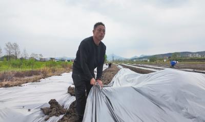 “老黑”阮荣强：订单蔬菜“蔬”写共富梦