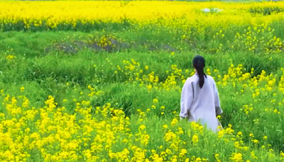 【微视】早安·大美崇阳