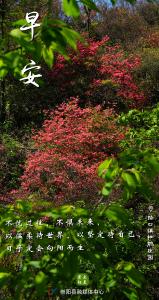 【海报】早安·大美崇阳