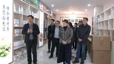 市人大常委会调研组来崇调研中医药传承发展情况