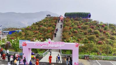 杜鹃漫山绽芳华 路口镇春日游园正当时