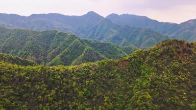 杜鹃映山红 徒步觅春光 港口乡打造大东港村徒步旅行新地标