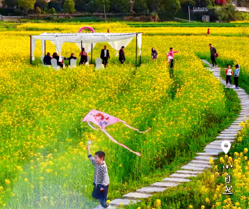 【微视】早安·大美崇阳