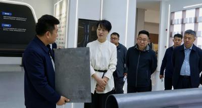 市政协调研组来崇阳开展专题协商课题调研