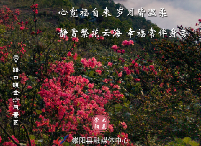 【海报】早安·大美崇阳