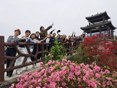 崇阳宠你！“楚超”票根优惠来了！