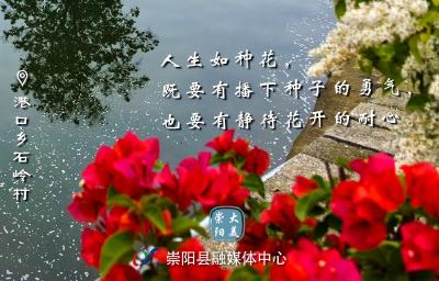 【海报】早安·大美崇阳