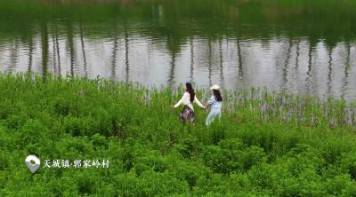 五一不想挤人潮?来崇阳天城镇郭家岭村，把春天过成喜欢的样子~