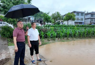崇阳县路口镇：以汛为令  迎汛而战