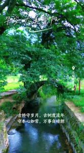 【微视】早安·大美崇阳