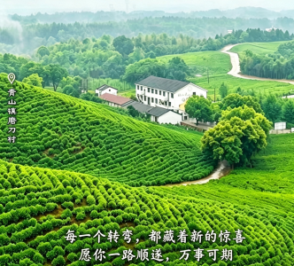 【海报】早安·大美崇阳