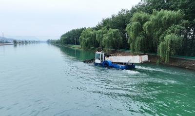守护河湖碧水 绘就生态画卷 崇阳龙舟赛事赛场河畅水清