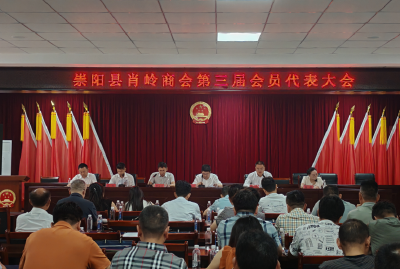 崇阳县肖岭乡：凝聚乡贤促发展 砥砺奋进启新篇