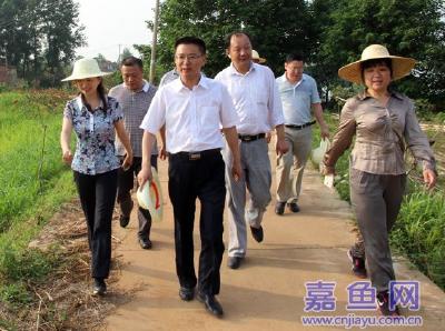市领导熊征宇检查我县防汛备汛工作 