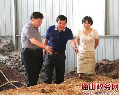 省纪委副书记、监察厅厅长吴琦来我县调研