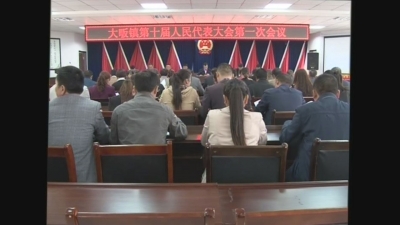 大畈镇召开第十届人民代表大会第一次会议