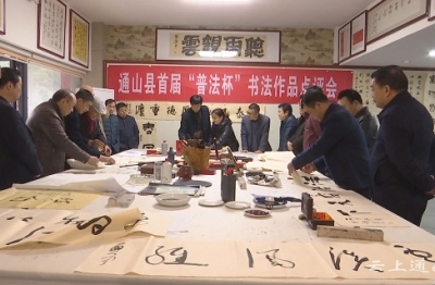 我县举办首届“普法杯”书法作品点评会