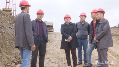 县领导实地督办富水南岸公路建设