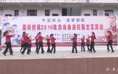 南林桥镇举办地方戏曲进校园活动