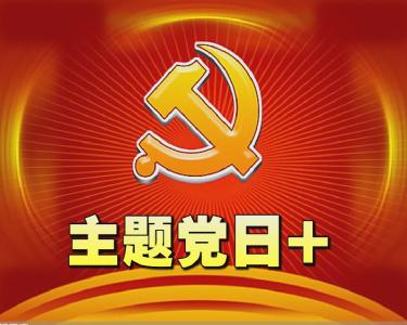 我县积极开展第十一期“主题党日+”活动