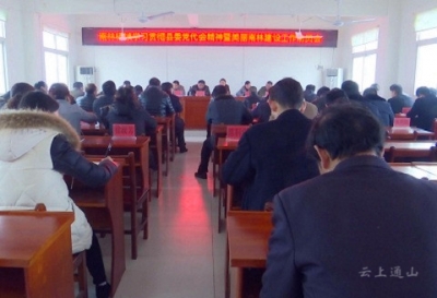 南林桥镇学习贯彻县委党代会精神