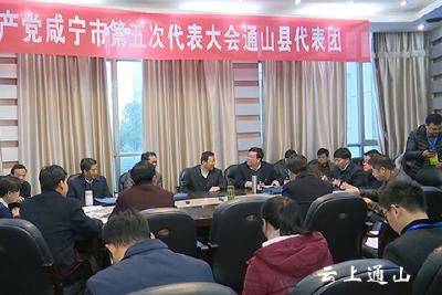 王远鹤参加通山代表团讨论