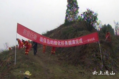 林业局：积极行动 确保岛屿绿化任务圆满完成