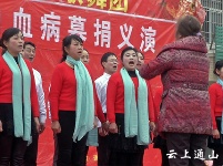 县爱心歌舞团为南林桥镇大坪村白血病患儿举行义演