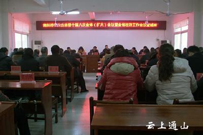 南林桥镇召开会议传达学习中央 省委有关会议精神