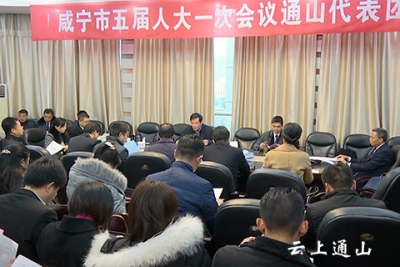 咸宁市五届人大一次会议通山代表团召开全体会议