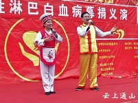 县爱心歌舞团为南林桥镇大坪村白血病患儿举行义演