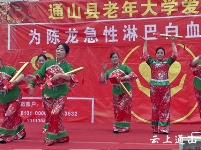 县爱心歌舞团为南林桥镇大坪村白血病患儿举行义演