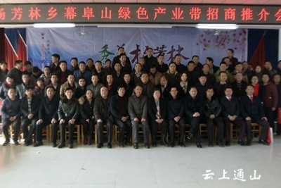 杨芳林乡举行幕阜山绿色产业带招商会