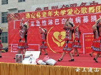县爱心歌舞团为南林桥镇大坪村白血病患儿举行义演