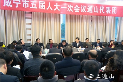 丁小强：坚持“山通水富、绿色发展”  补齐产业短板筑牢发展根基