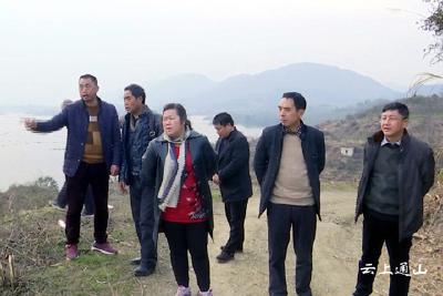 县领导督办大畈镇岛屿绿化工程进展情况