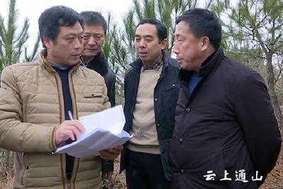 县领导深入慈口乡检查督办岛屿绿化工作