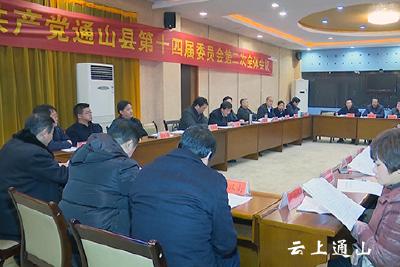 中共通山县十四届委员会召开第二次全体会议 