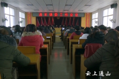 通羊镇：全力推进“鄂南重镇、绿色通羊”建设步伐