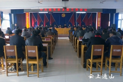 杨芳林：合力打造生态旅游度假小镇