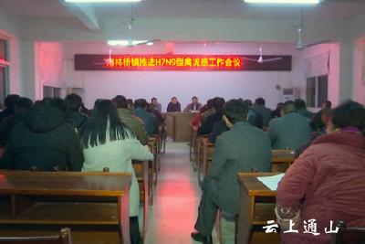 南林桥镇召开H7N9禽流感防控工作会议