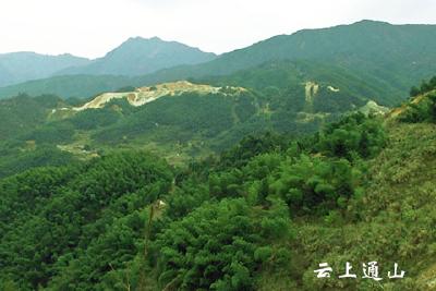 国家林业局第五督导组来我县调研