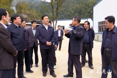 春风拂面润心田 丁小强来我县开展“走村巷•连民心”活动