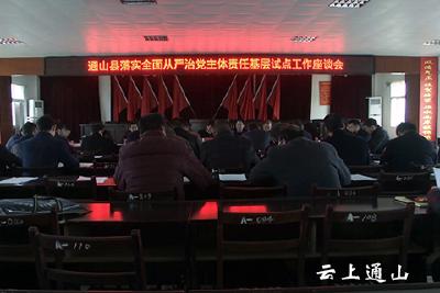 我县召开落实全面从严治党主体责任基层试点座谈会