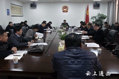 县领导主持召开项目推进会