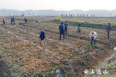 县扶贫办：主题党日植树忙