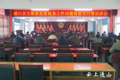 慈口乡召开大数据监督检查工作问题线索交办暨培训会