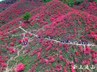 大幕山：春日风景美如画 赏花游玩好去处
 